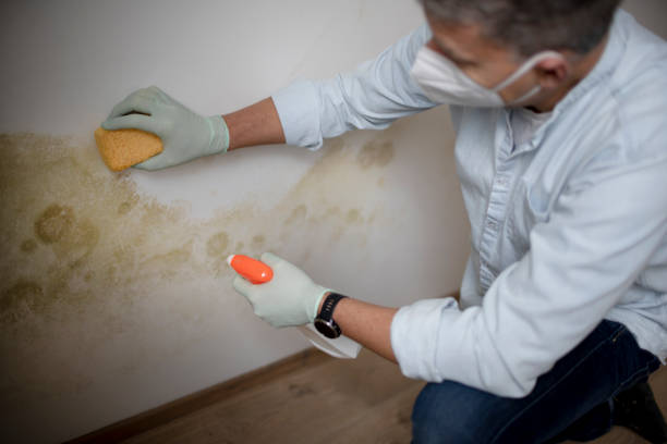 Best Residential Mold Removal  in Lake Worth, TX