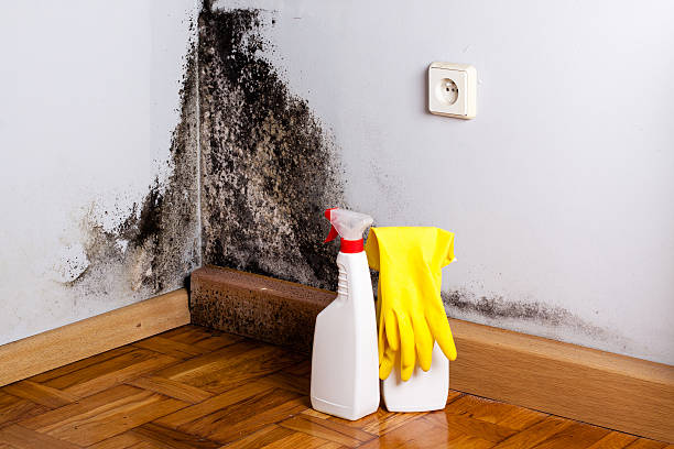 Best Crawl Space Mold Removal  in Lake Worth, TX