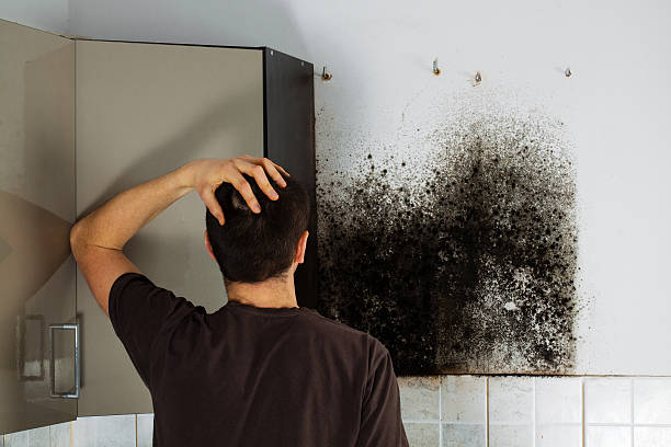 Best Certified Mold Removal  in Lake Worth, TX